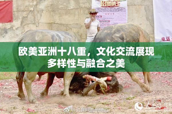 欧美亚洲十八重，文化交流展现多样性与融合之美