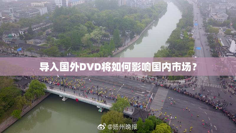 导入国外DVD将如何影响国内市场？
