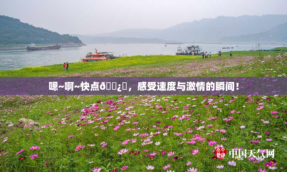嗯~啊~快点🌿‌，感受速度与激情的瞬间！