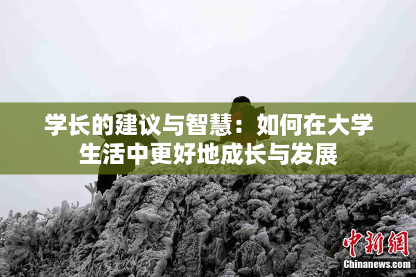 学长的建议与智慧：如何在大学生活中更好地成长与发展