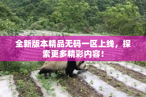 全新版本精品无码一区上线，探索更多精彩内容！