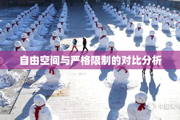 自由空间与严格限制的对比分析