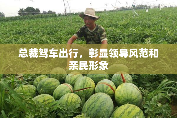 总裁驾车出行，彰显领导风范和亲民形象