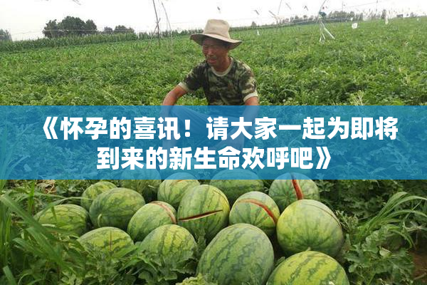 《怀孕的喜讯！请大家一起为即将到来的新生命欢呼吧》