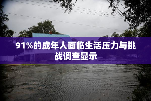 91%的成年人面临生活压力与挑战调查显示