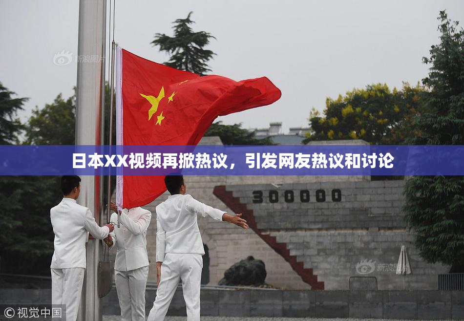 日本XX视频再掀热议，引发网友热议和讨论