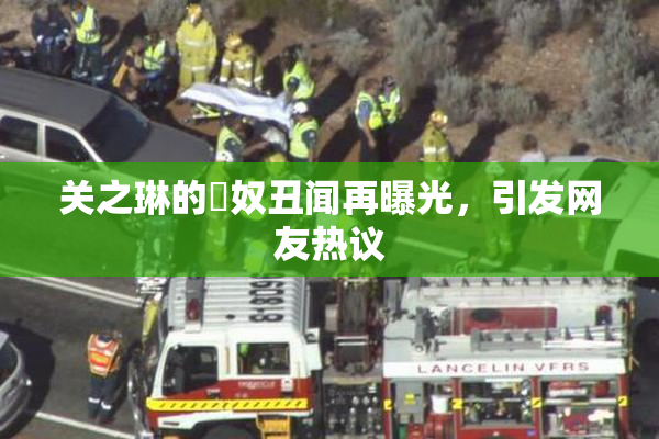关之琳的婬奴丑闻再曝光，引发网友热议