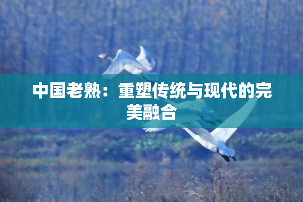 中国老熟：重塑传统与现代的完美融合