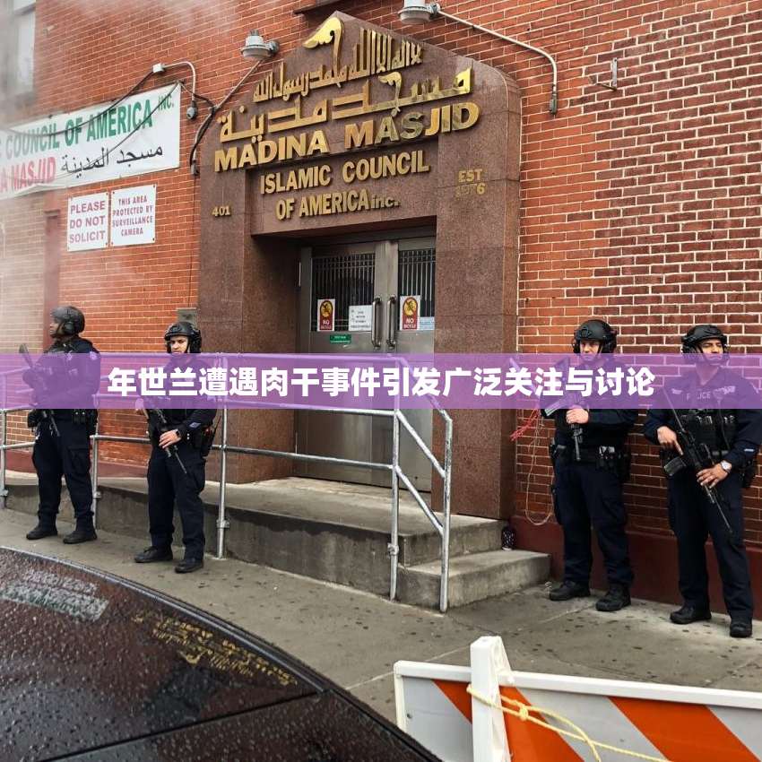 年世兰遭遇肉干事件引发广泛关注与讨论
