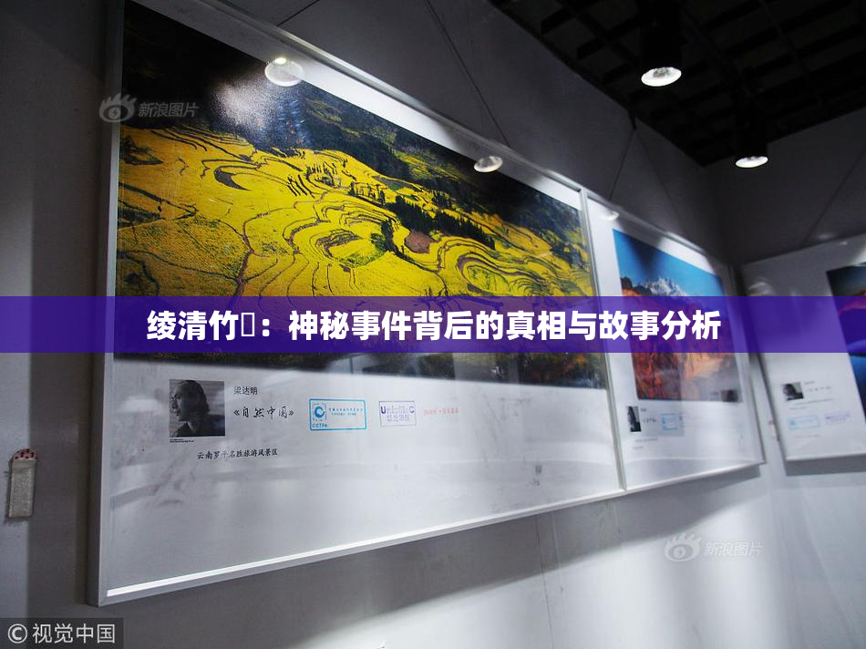 绫清竹婬：神秘事件背后的真相与故事分析