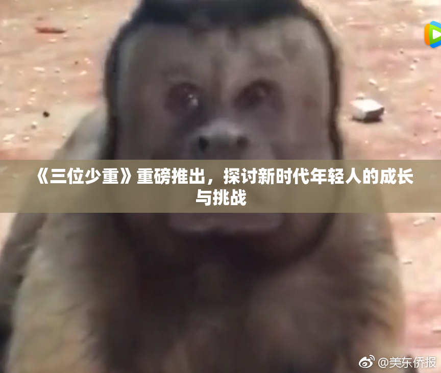 《三位少重》重磅推出，探讨新时代年轻人的成长与挑战