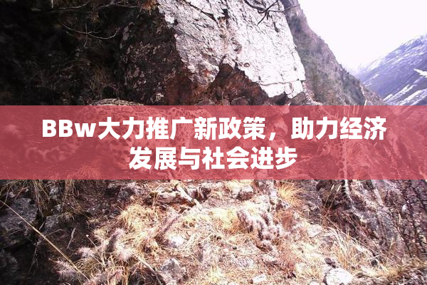 BBw大力推广新政策，助力经济发展与社会进步