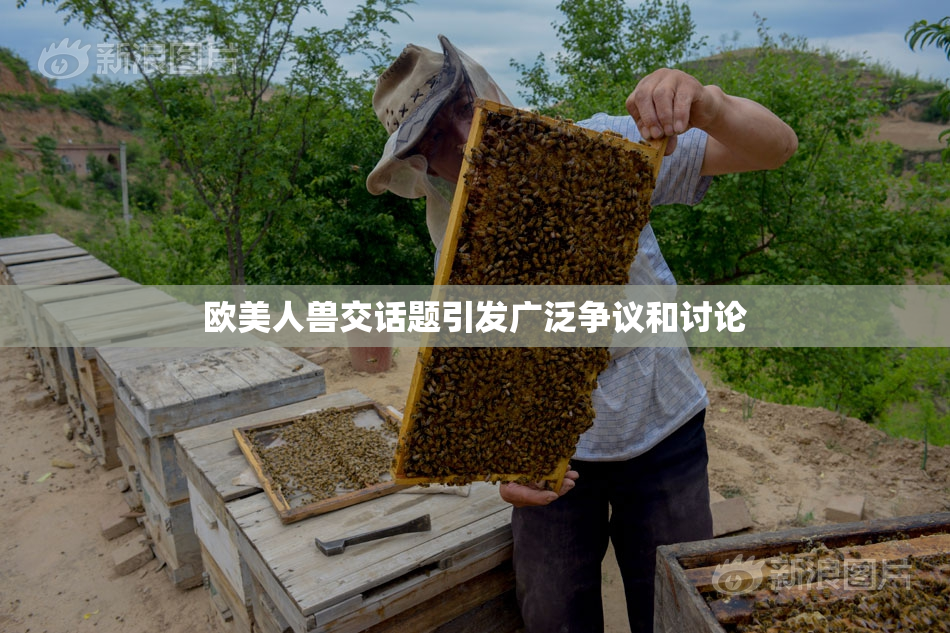 欧美人兽交话题引发广泛争议和讨论