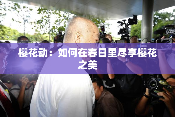 樱花动：如何在春日里尽享樱花之美