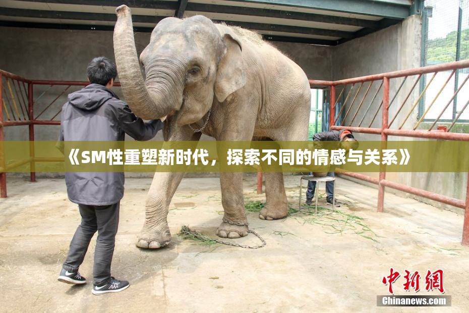 《SM性重塑新时代，探索不同的情感与关系》