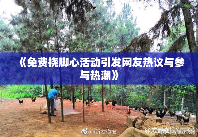 《免费挠脚心活动引发网友热议与参与热潮》