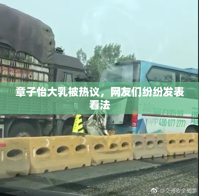 章子怡大乳被热议，网友们纷纷发表看法