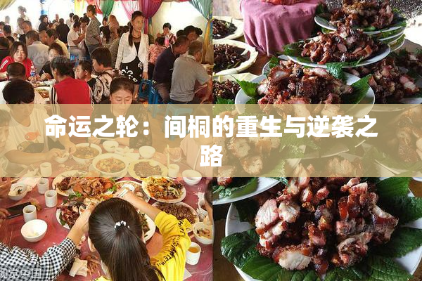 命运之轮：间桐的重生与逆袭之路