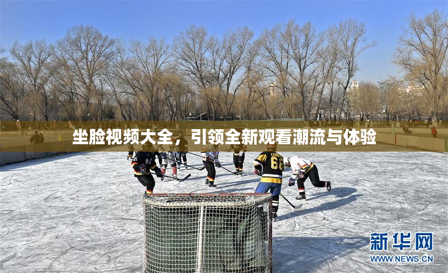 坐脸视频大全，引领全新观看潮流与体验