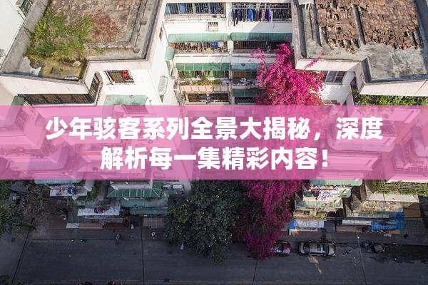 少年骇客系列全景大揭秘，深度解析每一集精彩内容！