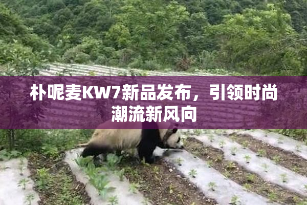 朴呢麦KW7新品发布，引领时尚潮流新风向