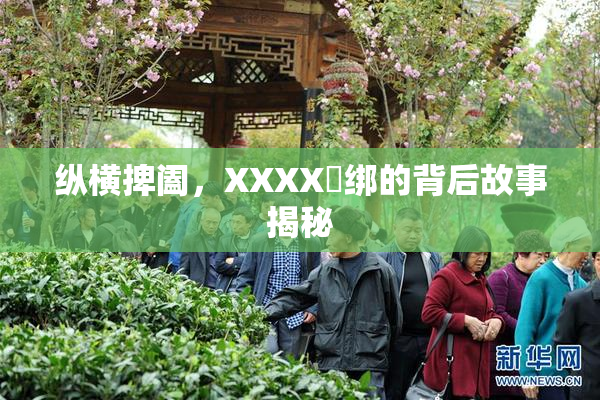 纵横捭阖，XXXX秵绑的背后故事揭秘