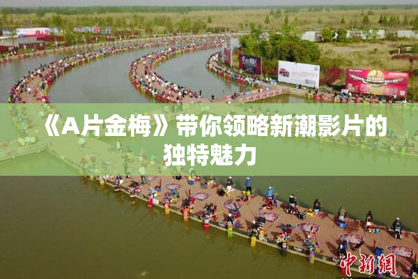 《A片金梅》带你领略新潮影片的独特魅力