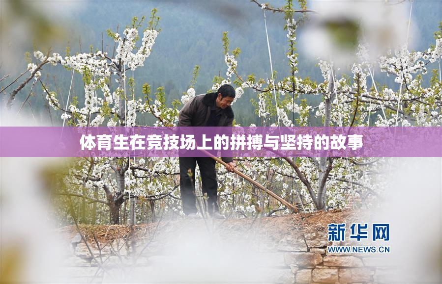 体育生在竞技场上的拼搏与坚持的故事