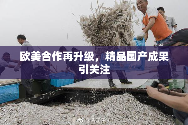 欧美合作再升级，精品国产成果引关注