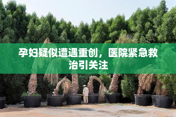孕妇疑似遭遇重创，医院紧急救治引关注