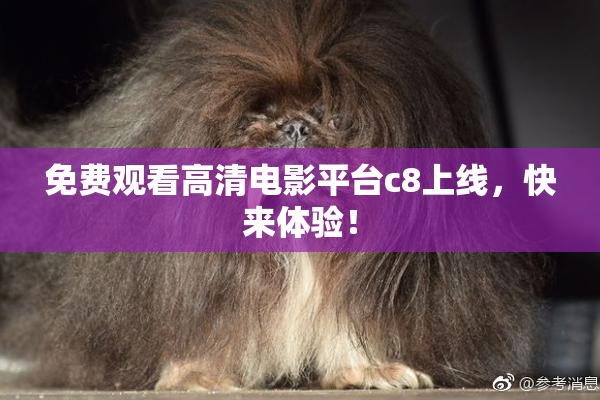 免费观看高清电影平台c8上线，快来体验！