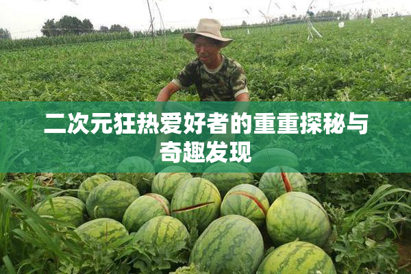 二次元狂热爱好者的重重探秘与奇趣发现