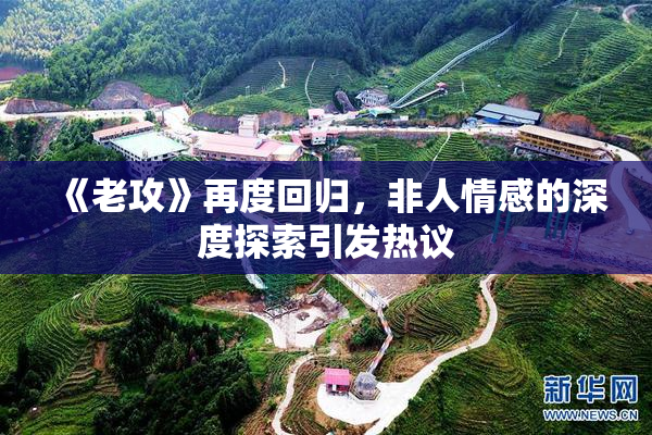 《老攻》再度回归，非人情感的深度探索引发热议