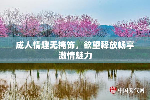 成人情趣无掩饰，欲望释放畅享激情魅力