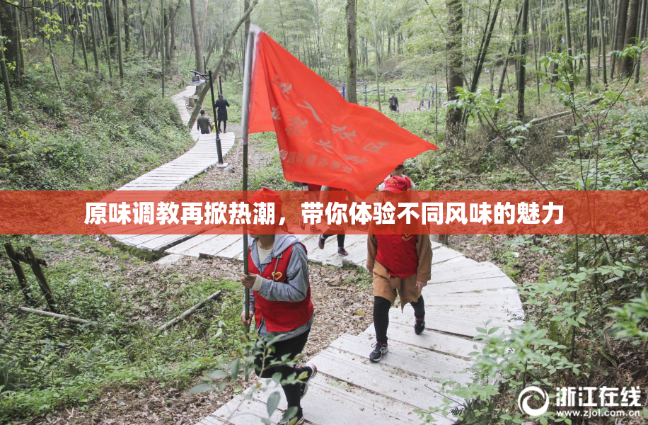 原味调教再掀热潮，带你体验不同风味的魅力