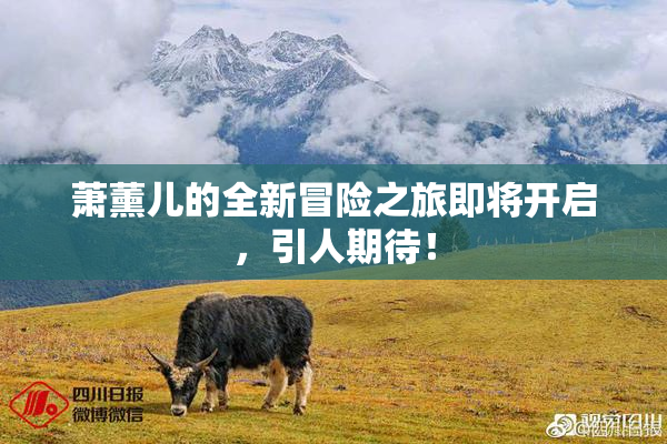 萧薰儿的全新冒险之旅即将开启，引人期待！