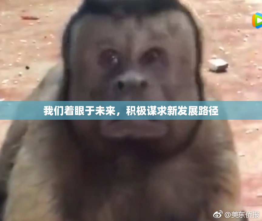 我们着眼于未来，积极谋求新发展路径