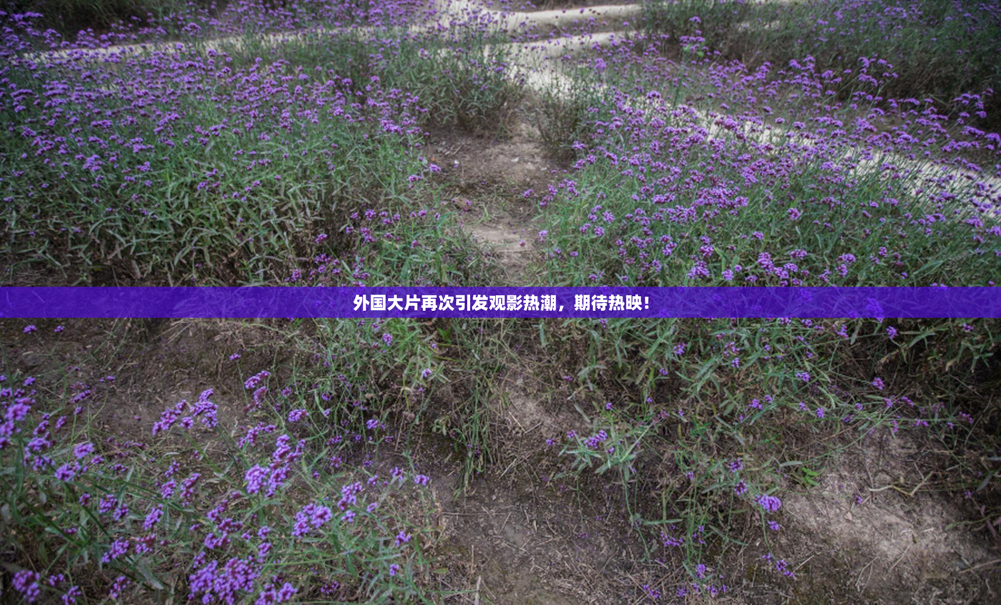外国大片再次引发观影热潮，期待热映！