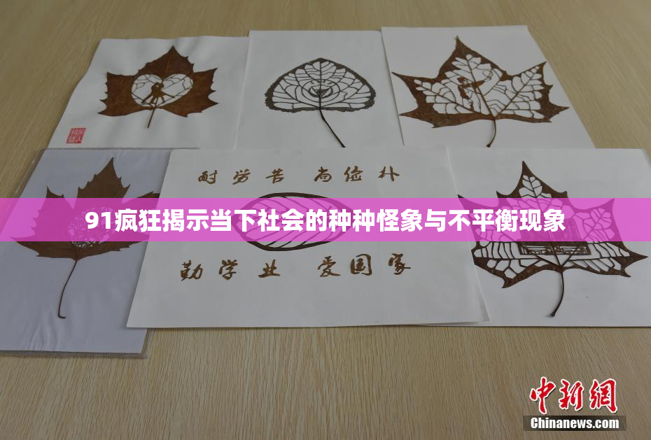 91疯狂揭示当下社会的种种怪象与不平衡现象