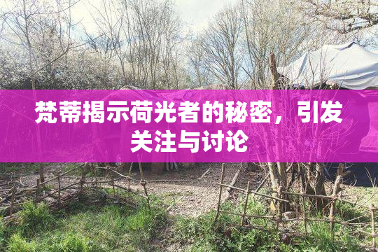梵蒂揭示荷光者的秘密，引发关注与讨论