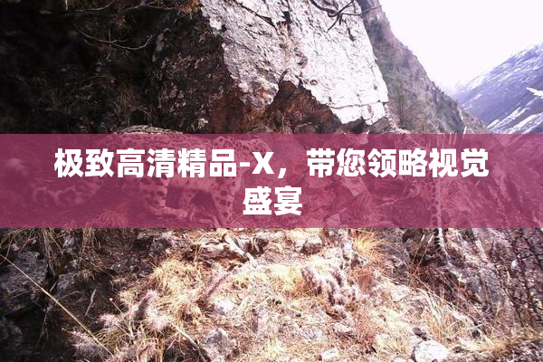 极致高清精品-X，带您领略视觉盛宴