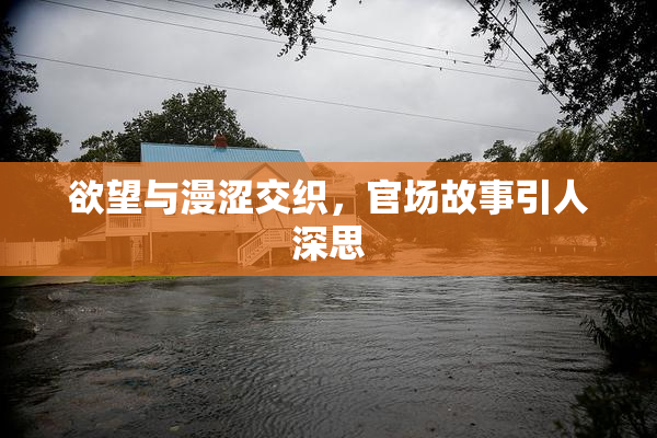 欲望与漫涩交织，官场故事引人深思