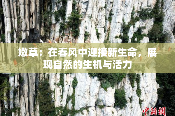 嫩草：在春风中迎接新生命，展现自然的生机与活力