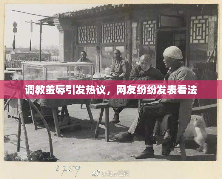 调教羞辱引发热议，网友纷纷发表看法