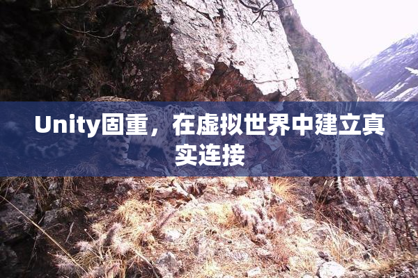 Unity固重，在虚拟世界中建立真实连接