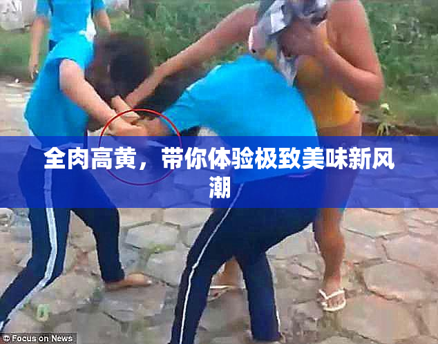 全肉高黄，带你体验极致美味新风潮