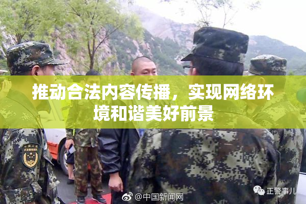 推动合法内容传播，实现网络环境和谐美好前景