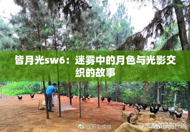 皆月光sw6：迷雾中的月色与光影交织的故事