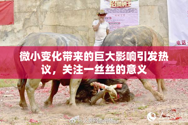 微小变化带来的巨大影响引发热议，关注一丝丝的意义