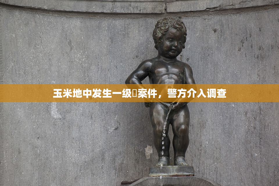 玉米地中发生一级婬案件，警方介入调查